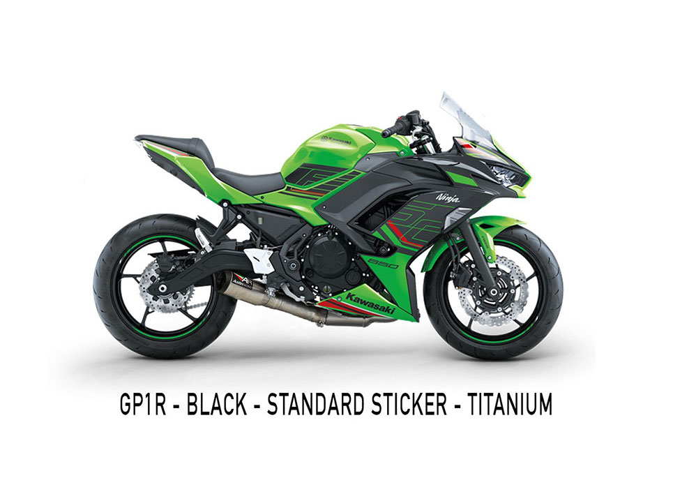 2017-2023 NINJA650 / Z650 De-cat