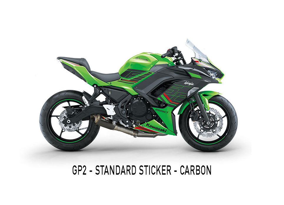 2017-2023 NINJA650 / Z650 De-cat 画像 2